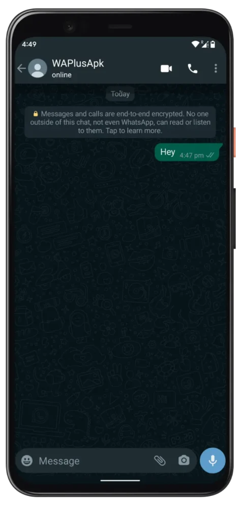 Blue WhatsApp Plus Chat Interface