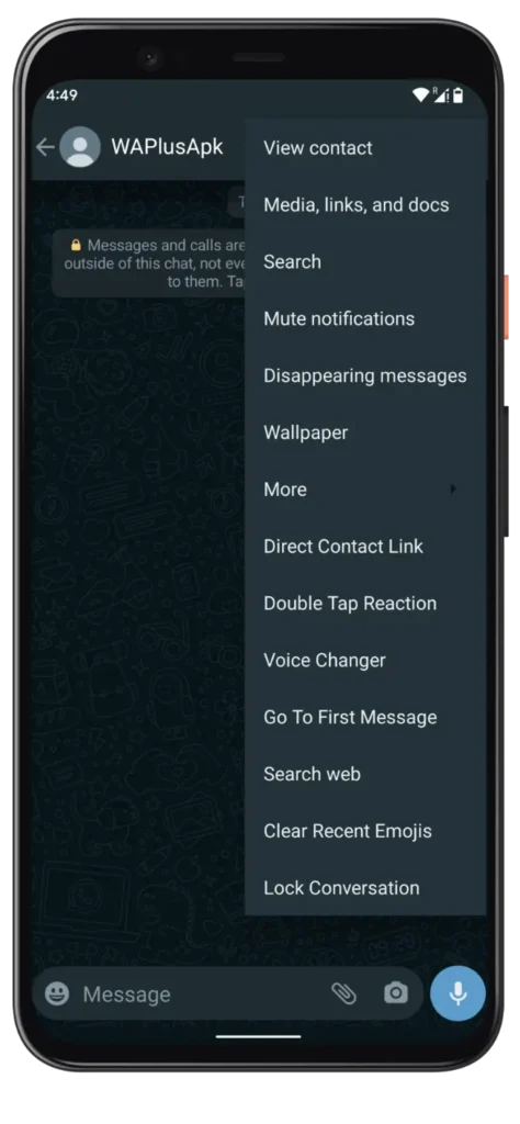 Blue WhatsApp Plus Chat Settings