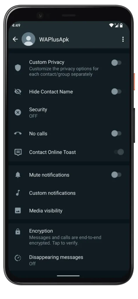 Blue WhatsApp Plus Options