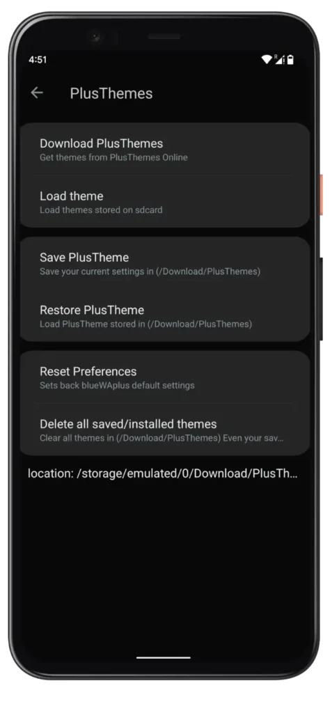 Blue WhatsApp Plus Theme Options